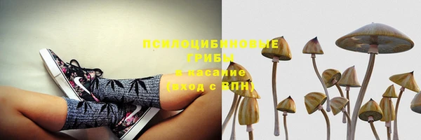 мет Верея