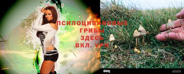 мет Верея
