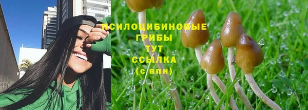 мет Верея